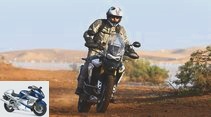 Triumph Tiger 900 in the driving report: Enduro with sharpened claws