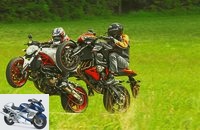 Ducati Monster 821 and Kawasaki Z 800 in comparison test