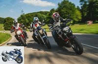 Ducati Monster 821, Aprilia Shiver, BMW F 800 R in comparison test