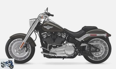 2019 Harley-Davidson 1745 SOFTAIL FAT BOY FLFB
