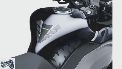 Kawasaki Ninja 1000 SX (2020): facelift for sports tourers