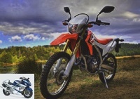 News - Everything you need to know about the Honda CRF250L! - Used HONDA