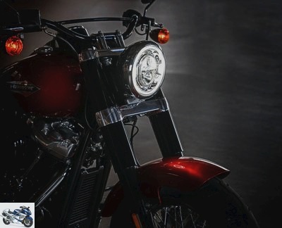 2020 Harley-Davidson 1745 Softail Slim FLSL