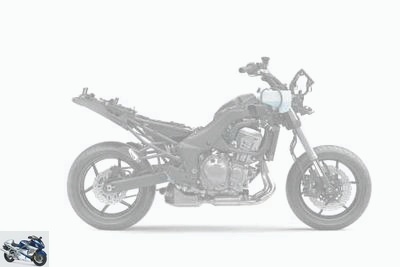 Kawasaki VERSYS 1000 SE Tourer + 2019 technical