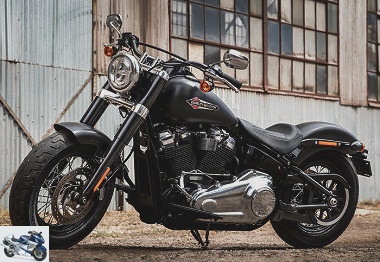 2019 Harley-Davidson 1745 SOFTAIL SLIM FLSL