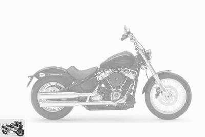 Harley-Davidson 1745 Softail Standard FXST 2020 tech