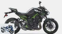 Kawasaki Z 900 (2020): Updates for the bestseller