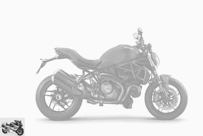 Ducati 1200 Monster 2019 technical