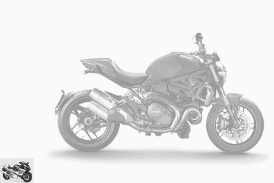 Ducati 1200 Monster 25 ° Anniversario 2018 technical