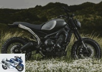 Motorcycle preparations - Motorcycle preparation: Yamaha XSR900 Monkeebeast by Wrenchmonkees - Used YAMAHA