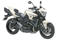 Suzuki Motorrad B-King from 2009 - Technical data