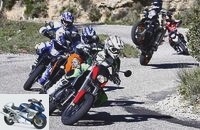 Comparison test: Aprilia, BMW, Husqvarna, KTM and Yamaha