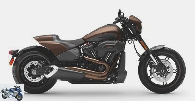 2019 Harley-Davidson 1870 SOFTAIL FXDR 114