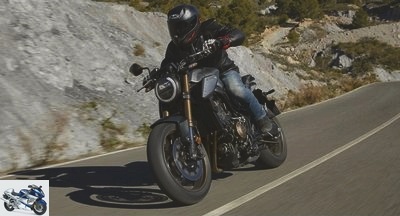 Roadster - 2019 Honda CB650R Review: Too Good to Be a Hornet? - CB650R test Page 3: technical and commercial sheet