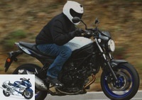Roadster - 2016 Suzuki SV650 test: return on investment - SV650 technical and commercial sheet