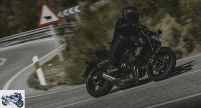 Roadster - 2018 Yamaha MT-07 test: logical evolutions - MT-07 test page 3 - Technical and commercial sheet