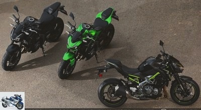 Roadster - Z900 test: the new Kawasaki roadster without aids! - Page 2 - MNC on the handlebars of the new Z900