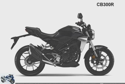 Roadster - Honda CB125R and CB300R 2018: one CB can hide two others ... - Used HONDA