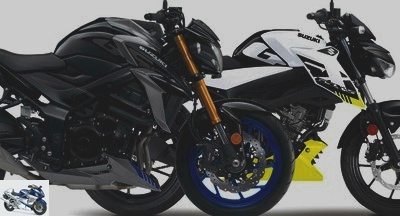 Roadster - Suzuki presents the 2021 colors of its GSX-S750 and GSX-S125 roadsters - Used SUZUKI