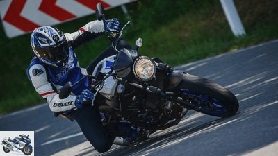 Comparison test Ducati Monster 797 and Suzuki SV 650