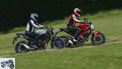 Comparison test Ducati Monster 797 and Suzuki SV 650