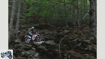 KTM Freeride 250 R in the driving report