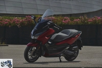 Scooter - Test Honda Forza 125 2019: always more premium - Test Honda Forza 125 - Page 1: thirst for gold