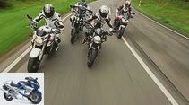 KTM, Ducati, Triumph and Suzuki bikes in comparison