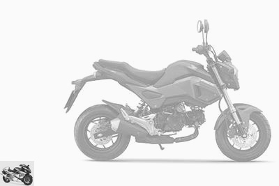 17 Honda Msx 125 About Motorcycles
