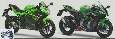 Sporty - Kawasaki Z125 and Ninja 125 test: for generation Z or ZX-R bikers? - Z125 and Ninja 125 test page 1 - Kawasaki (re) relaunch