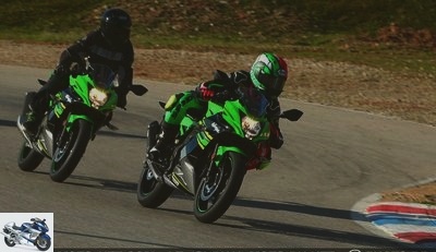 Sporty - Kawasaki Z125 and Ninja 125 test: for generation Z or ZX-R bikers? - Z125 and Ninja 125 test page 2 - One offer, two choices