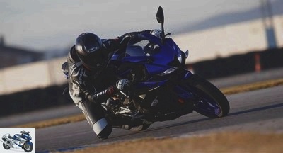 Sportive - Test Yamaha YZF-R125 2019: A hell of a cost for young bikers - Test YZF-R125 2019 Page 3: technical and commercial sheet