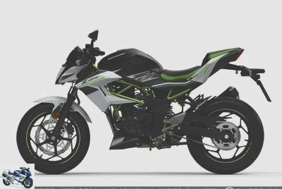 Sportive - Kawasaki rejuvenates its 2019 motorcycle range with the Ninja 125 and Z125 - Used KAWASAKI