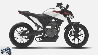 Malaguti Drakon 125: Sporty naked bike for the youngsters