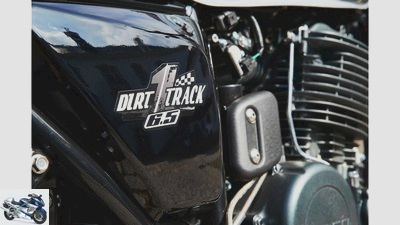 Mash Dirt Track 650 in the driving report