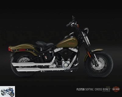 Harley-Davidson FLSTSB 1584 SOFTAIL CROSS BONES 2009