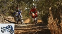 Comparison test of sports enduro bikes KTM 450 EXC and Yamaha WR 450 F