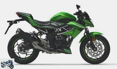 Kawasaki Z 125 2019
