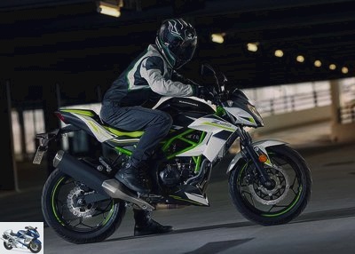 Kawasaki Z 125 2019