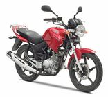 Yamaha YBR 125 from 2010 - Technical Specifications