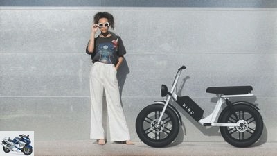 New electric moped Bird Cruiser as a sharing offer