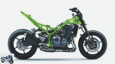 Kawasaki Z 900 Performance 2019