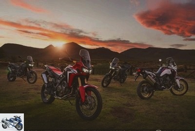 Trail - The Honda Africa Twin could be declined in a smaller displacement - Used HONDA
