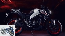 New launch of the Yamaha MT-03 (model year 2020)