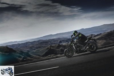 Kawasaki Z 1000 Performance 2020