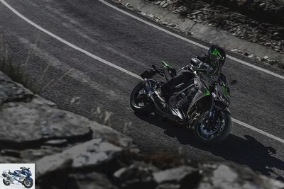 Kawasaki Z 1000 Performance 2020