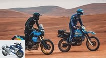Yamaha Tenere 700 Rally Edition: Greetings from the Dakar past