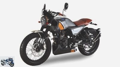 New registrations for 125cc motorcycles and large scooters in 2019