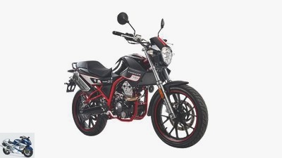 125cc - Euro 4 models and valuable information for beginners
