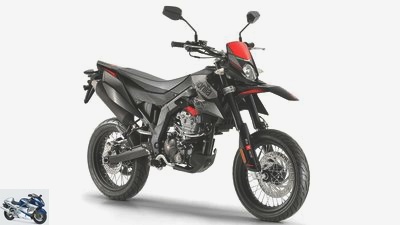 New registrations for 125cc motorcycles and large scooters in 2019